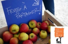 Echangez pommes, pêches et poires avec « Les fruits du voisin »