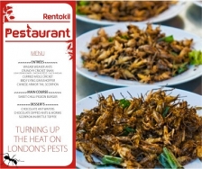 Des insectes dans mon assiette (épisode 2) : une dégustation gratuite d’insectes offerte aux britanniques 