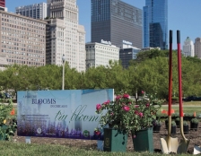 Tru Blooms : le parfum local made in Chicago