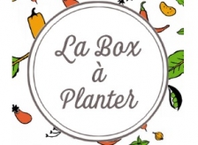 La Box à Planter, la bonne idée pour jardiner