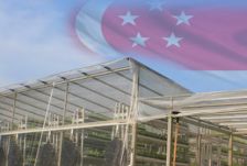 Sky Greens : la première ferme verticale urbaine, économe en eau et en énergie ouvre à Singapour