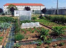 Des jardins bio en prison