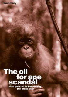 Rapport «Oil for Ape » 