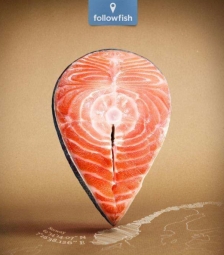 Followfish remonte la ligne jusqu\'à l\'hameçon