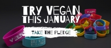 Devenez végétalien pendant un mois lors du Veganuary