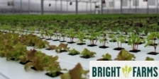 L’idée lumineuse de Bright Farms pour fournir les supermarchés en fruits et légumes frais