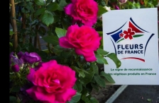 « Fleurs de France », un nouveau label pour les végétaux Made in France
