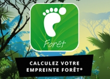 Envol Vert propose de calculer votre empreinte Forêt