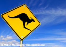 Les Australiens redécouvrent la viande de kangourou pour limiter leur empreinte écologique