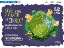 Biocoop - Les légumes c'est pas que l'été ! Découvrez les légumes insolites  d'hiver dans vos magasins en janvier !