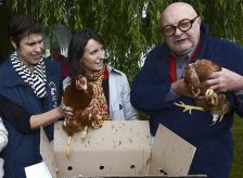 Un village de la Sarthe offre des poules à ses administrés pour faire baisser leur taxe sur les déchets