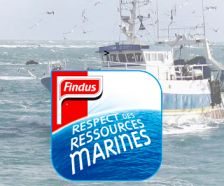 Findus, le poisson responsable tient la barre