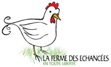 N\'achetez plus vos œufs, offrez-vous une poule !