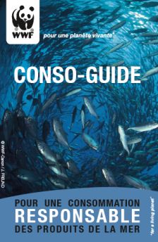 Sardine - Le guide Poisson du WWF