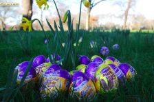 Cadbury redécouvre les vertus écologiques... de la coquille d\'oeuf !