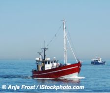 La pêche artisanale, plus écologique que la pêche industrielle