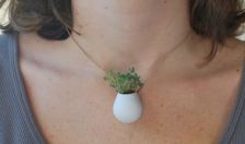 Un bijou-plante pour conjuguer mode et environnement