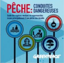 Greenpeace alerte l\'opinion sur les espèces de poissons en danger 
