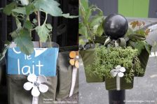 Potogreen… les belles plantes font le trottoir !