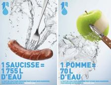 Des assiettes remplies d’eau