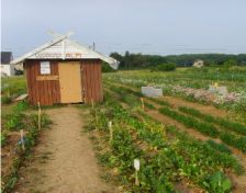 Le jardin urbain, service compris !