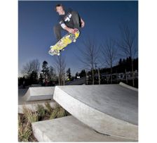 Les skateparks mettent un peu de vert dans le gris du béton 