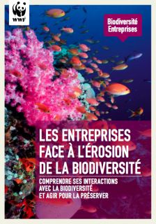 Les entreprises face à l\'érosion de la biodiversité